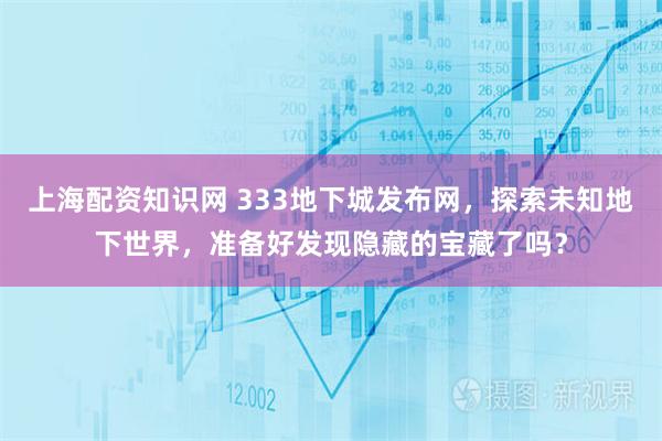 上海配资知识网 333地下城发布网，探索未知地下世界，准备好发现隐藏的宝藏了吗？